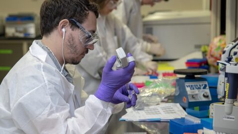 A Foundation Model for the Gut Microbiome Takes Shape