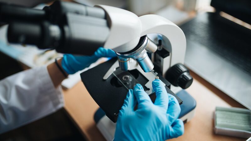 Single-Cell Mapping Moves From Lab Bench Toward Cancer Clinics