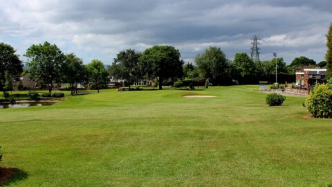 Green fairway and trees on a golf course