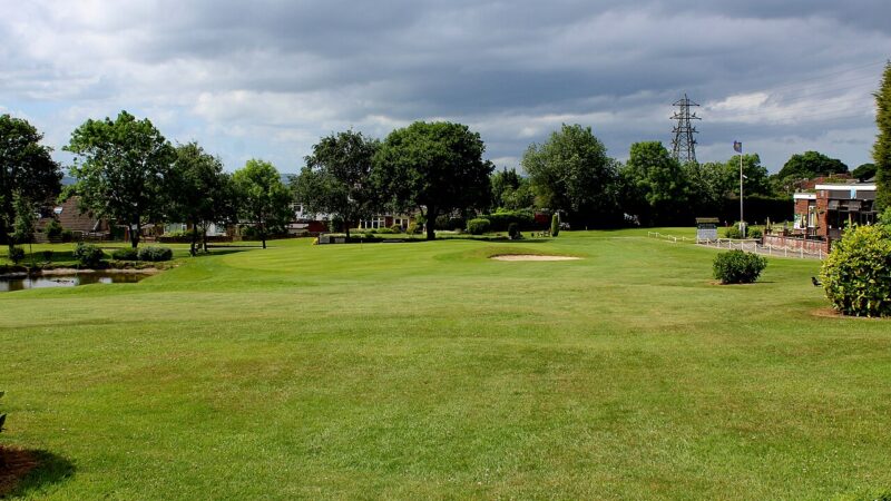 Green fairway and trees on a golf course